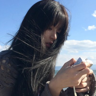 高速路上一只猫 海报