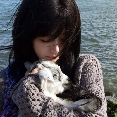 风愿 海报